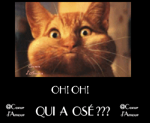oh qui a osé ?